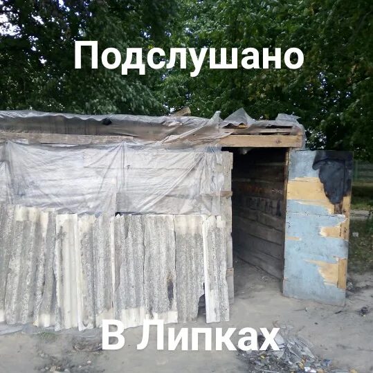 Подслушано липки