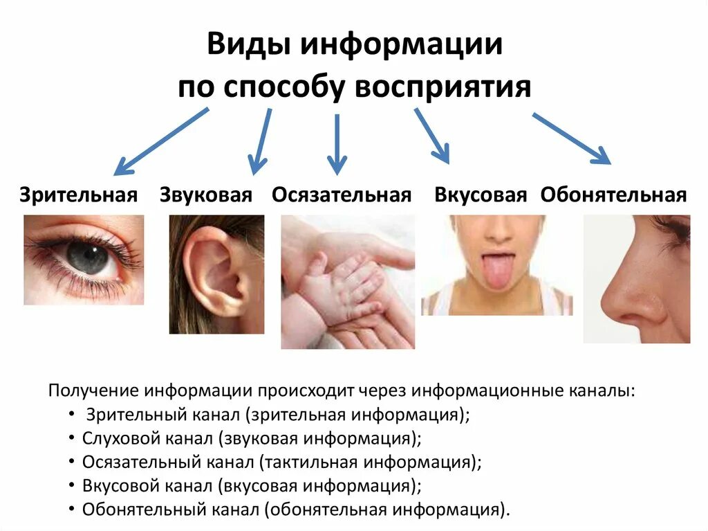 Картинки видов информации. Восприятие информации. Зрительный способ восприятия информации. Способы восприятия. Типы и способы восприятия информации.