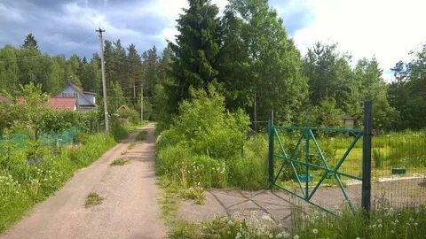 Красногорские покосы снт