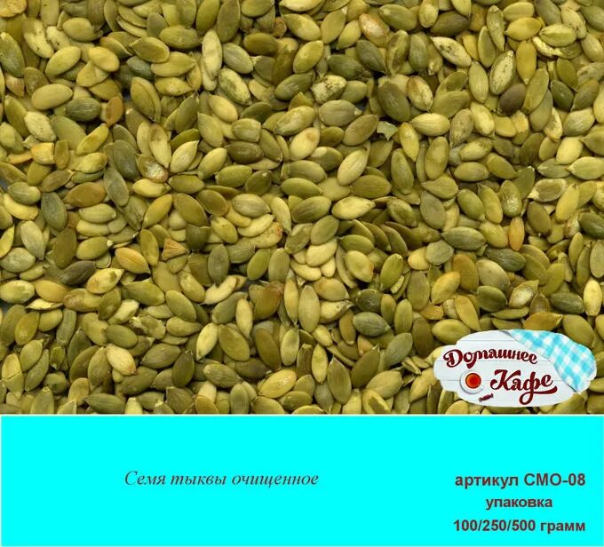 Biji Labu Kualitas Tinggi Ekspor Dari Vietnam + Leon Whatsapp: + 84843665662 - B