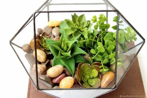 Plants интернет магазин