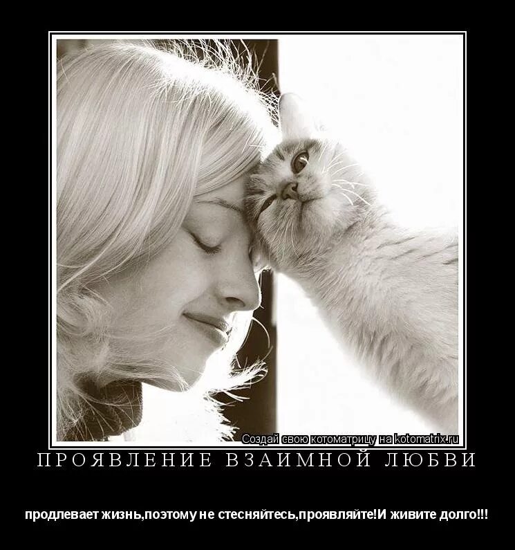 Любовь это взаимность. Мотиваторы про дружбу. Женщина как кошка. Женщина кошка цитаты. Демотиватор с котом и женщиной.