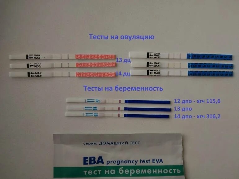 Тесты после задержки. Тест на беременность. Тест на беременность после зачатия. Тест на беременность после овуляции. Тест на беременность неделя после акта