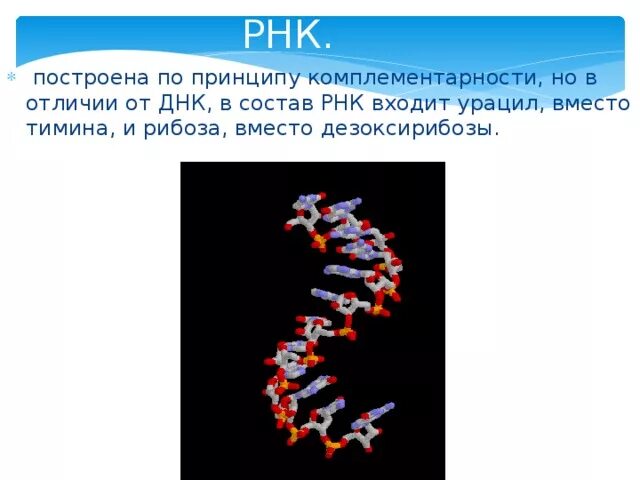 РНК для презентации. Рибонуклеиновая кислота презентация. ДНК И РНК презентация. ДНК биология 9 класс.