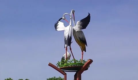 Парк аистово