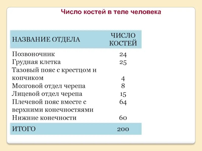 Сколько костей у новорожденного. Число костей в теле человека. Сколько костей в человеческом теле. Общее количество костей в организме человека. Кости человека количество.