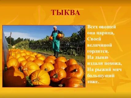 Тыква 3 2