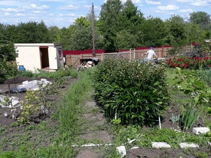 Кп заря старосемейкино. Рабочие старосемейкино. Кп заря старосемейкино. Дачи семейкино. Погода в старосемейкино сегодня по часам.