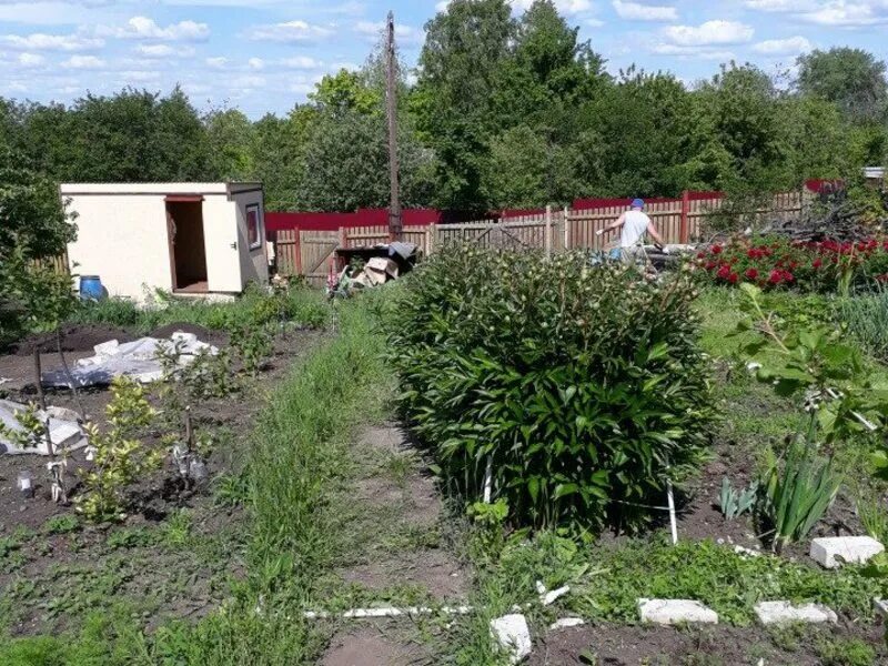 Дачи Семейкино. Старосемейкино дачи. Дачные участки в Старосемейкино Самарской.