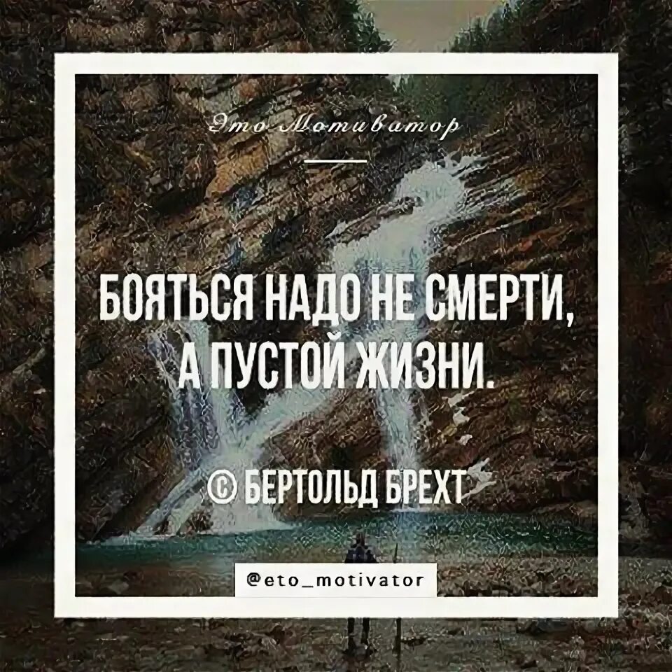 Не надо бояться смерти. Бояться надо не смерти, а пустой жизни. (Бертольд Брехт). Бояться надо не смерти а пустой жизни. Бояться нужно не смерти а пустой. Картинка с цитатой боятся надо не смерти а пустой жизни.