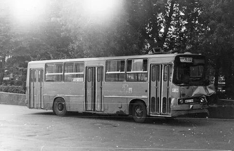 Автобус до пожарского