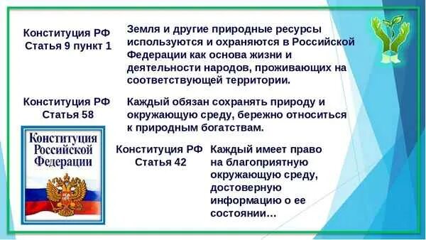 Вопросы безопасности конституции. Статьи Конституции об экологии. Экологические статьи Конституции РФ. Конституция экология. Ст 58 Конституции РФ.