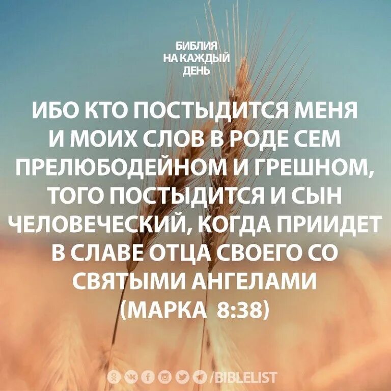 Воля отца небесного. Библия кто меня постыдится того и. Стихи из Библии. Кто посиыдиться меня пред людьми. Стихи из Библии на каждый.