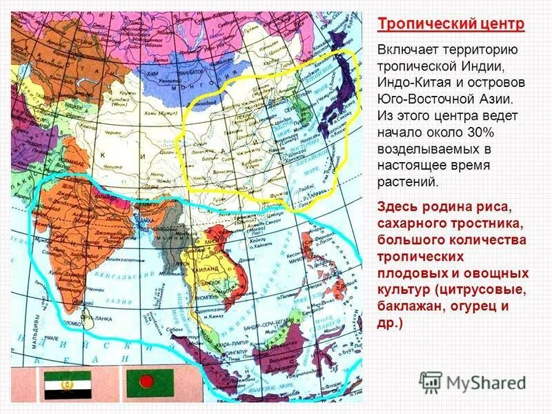 субъекты российской федерации республики края области. субъекты рф 85 субъектов. какие народы проживают в росси. административные центры субъектов российской федерации. народы проживающие на территории рф.