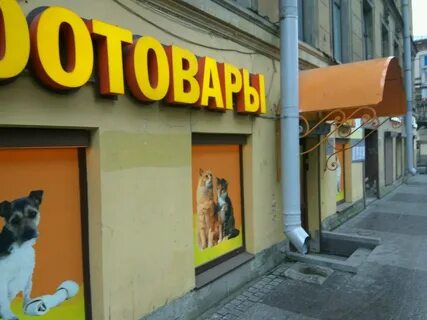 Филя зоомагазин