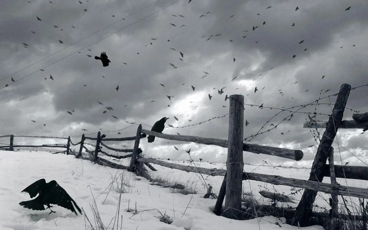 Поле зимой. Снежное поле. Уходящие следы. Пустота зима. Зима пустота.