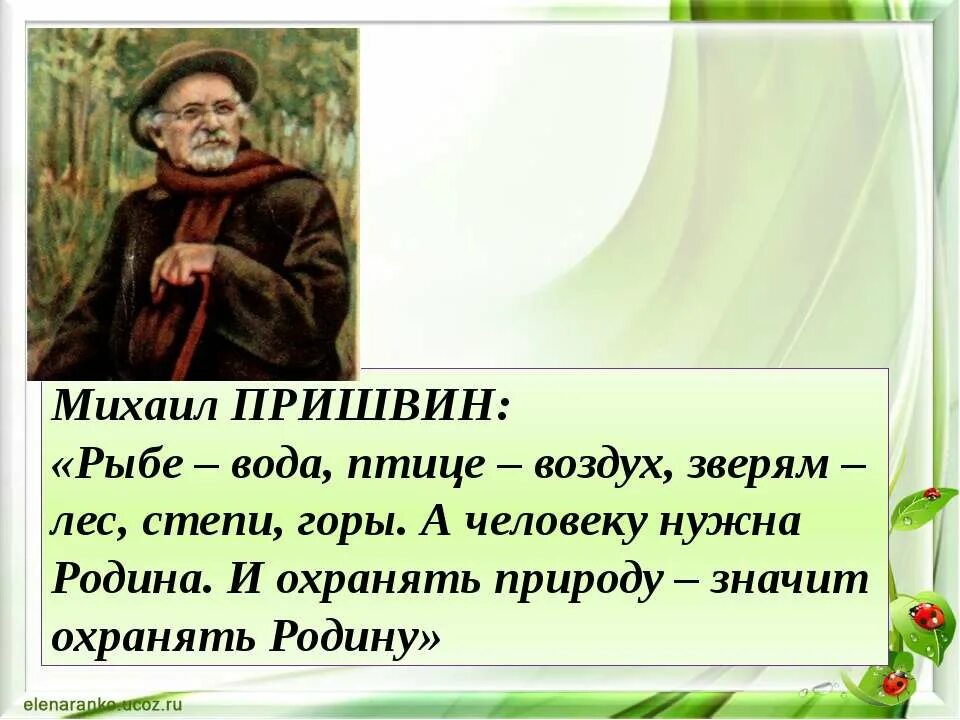 Благодарность пришвин. Слова м Пришвина о природе. Михаила Михайловича Пришвина (1873–1954).