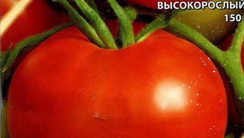 Томаты кострома отзывы фото