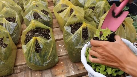 Как готовить овощи в пакете