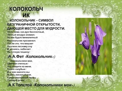 Что значат колокольчики