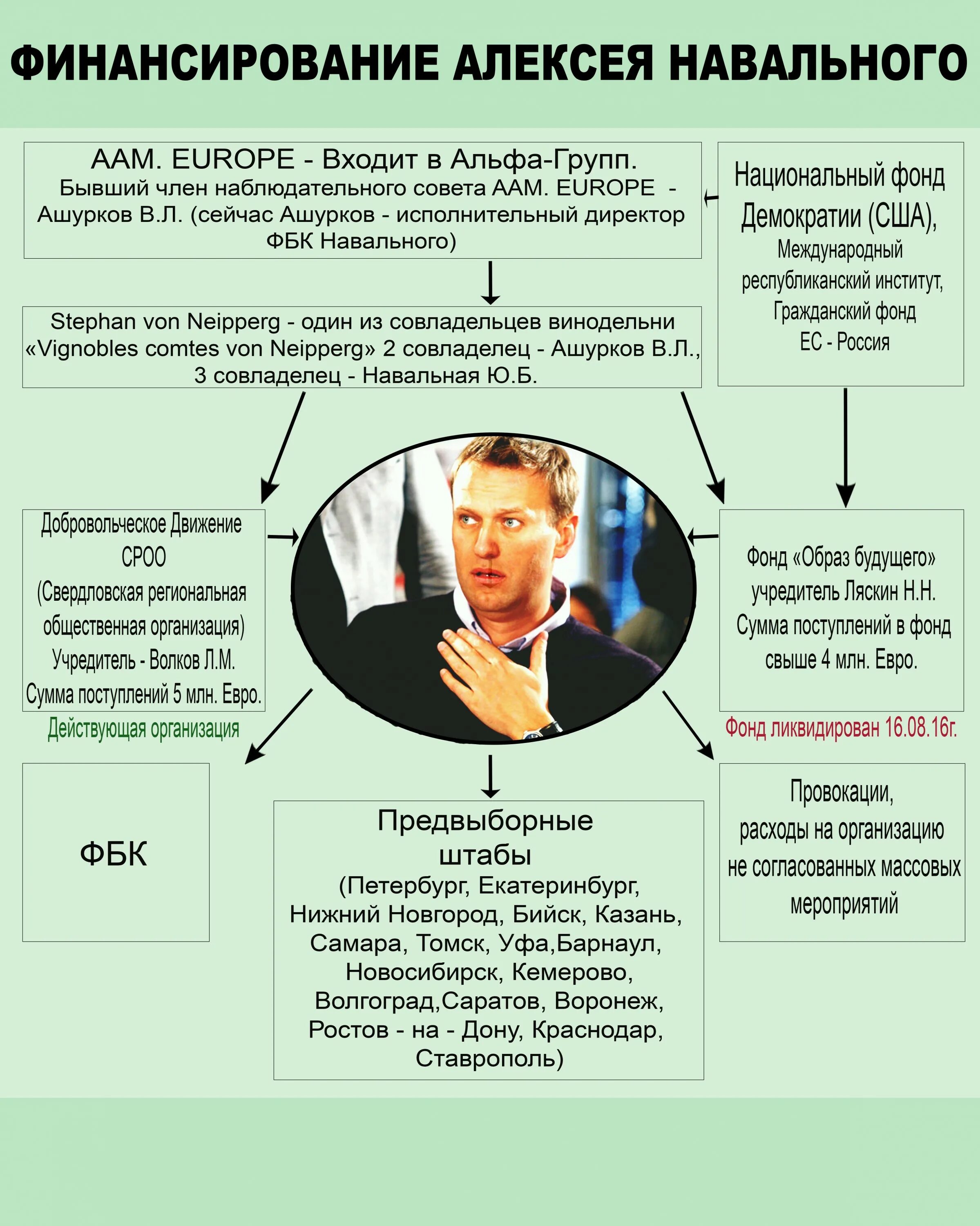 Откуда появился навальный. Финансирование Навального. Фонд Навального. Навальный откуда деньги. Кем финансировался Навальный.