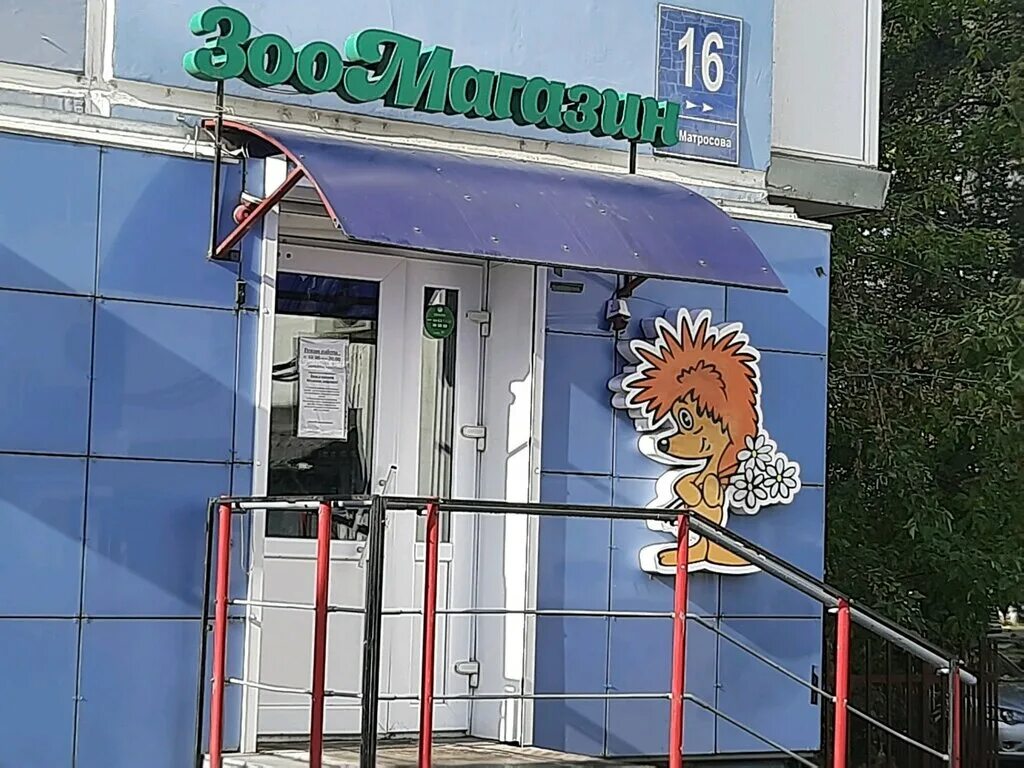 ежик зоомагазин. зоомагазин буденновск. еж в аптеке. ежик зоомагазин. зооцентр ёжик.