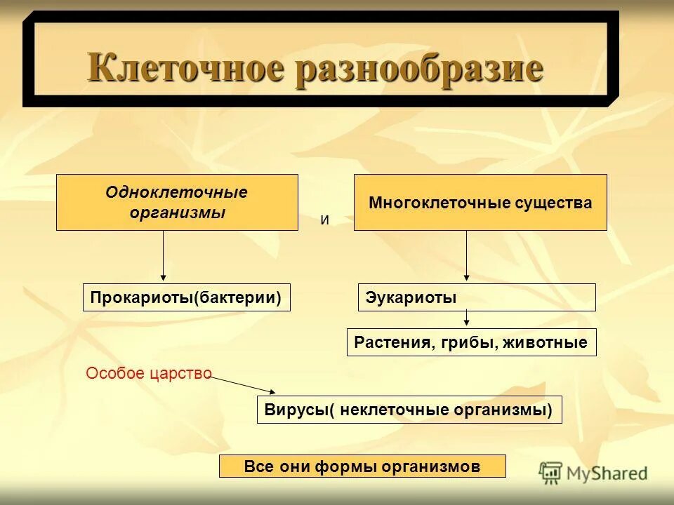 Разнообразием форм и является. Различия одноклеточных и многоклеточных организмов. Одноклеточные и многоклеточные организмы таблица. Разнообразие организмов одноклеточные и многоклеточные. Сходство одноклеточных и многоклеточных организмов.