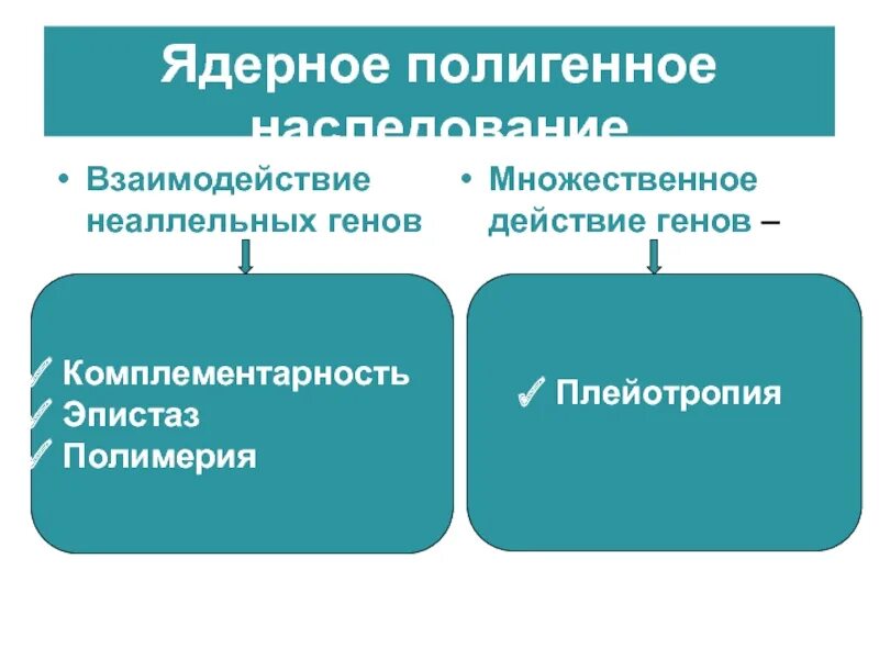 Полигенное наследование признаков. Полигенный Тип наследования. Полигенно мультифакториальное наследование. Полигенео мультифокальное наследование. Наследственное взаимодействие