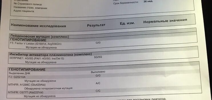 Анализ pai-1 норма. Мутация MTHFR ala222val. MTHFR 677 C T ala222val расшифровка СС. Анализ pai-1 количественный. Pai 1 4g 4g