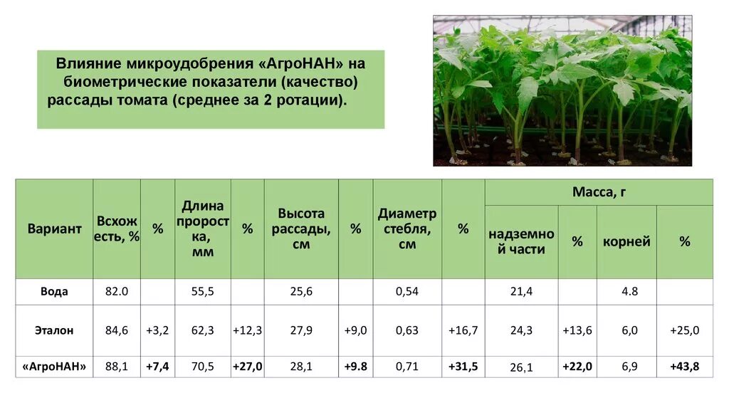 Микроудобрения содержат. Микроудобрения в сельском хозяйстве. Микроудобрения таблица. Микроудобрения для растений. Микроудобрения формулы.