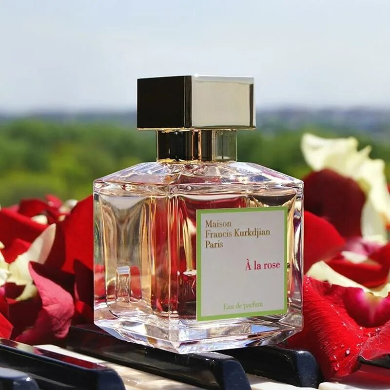 Цветочные духи. Джо малон духи красные. Jo malone iris & white musk 100ml. Legrand. Roja parfums женский.