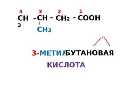 2 метилбутановая кислота изомеры