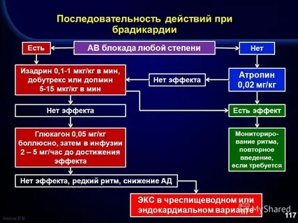 Брадикардии блокады