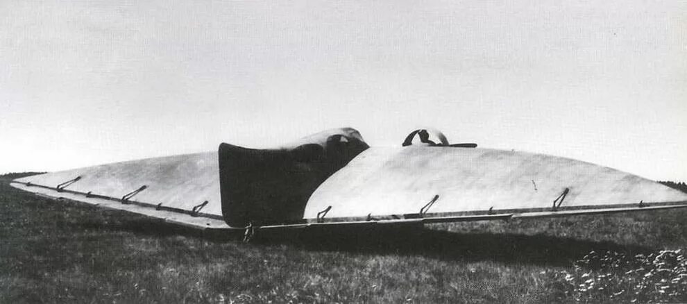 Самолет бич. Первое "летающее крыло": Бич-3. Черановский Бич-14.