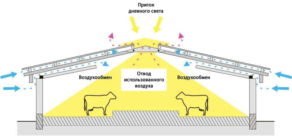 Воздух животноводческих помещений. Схемы естественной вентиляции в коровнике. Приточно-вытяжная вентиляция в коровнике. Схема вытяжной системы вентиляции в коровнике. Вентиляция для коровника нормы и схема устройства.
