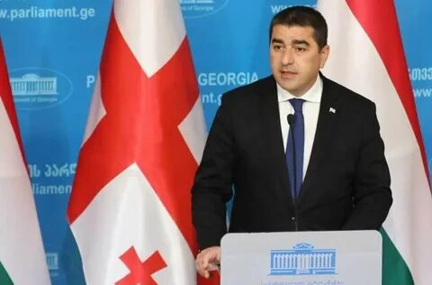 Спикер парламента грузии подписал закон об иноагентах