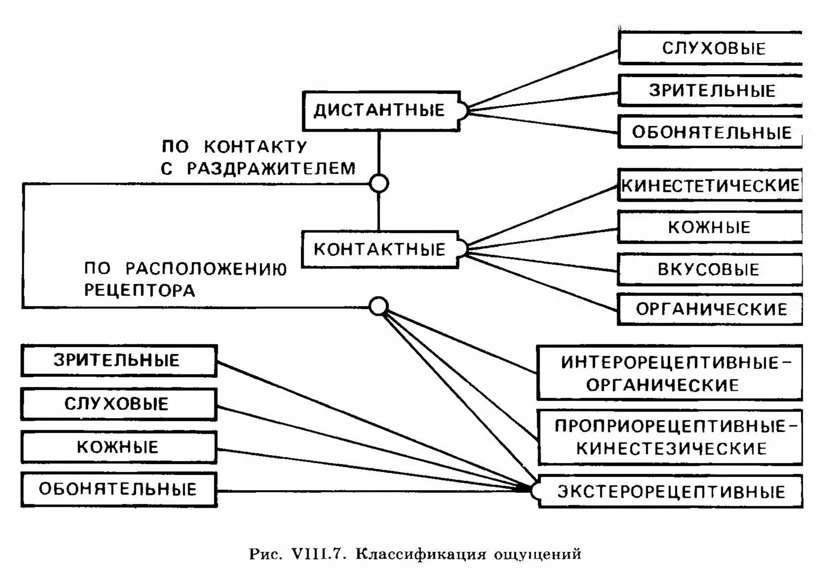 Названия ощущений. Классификация психических процессов Веккер. Классификация видов ощущения по анализатору. Основные классификации ощущений в психологии. Классификация ощущений в психологии таблица.