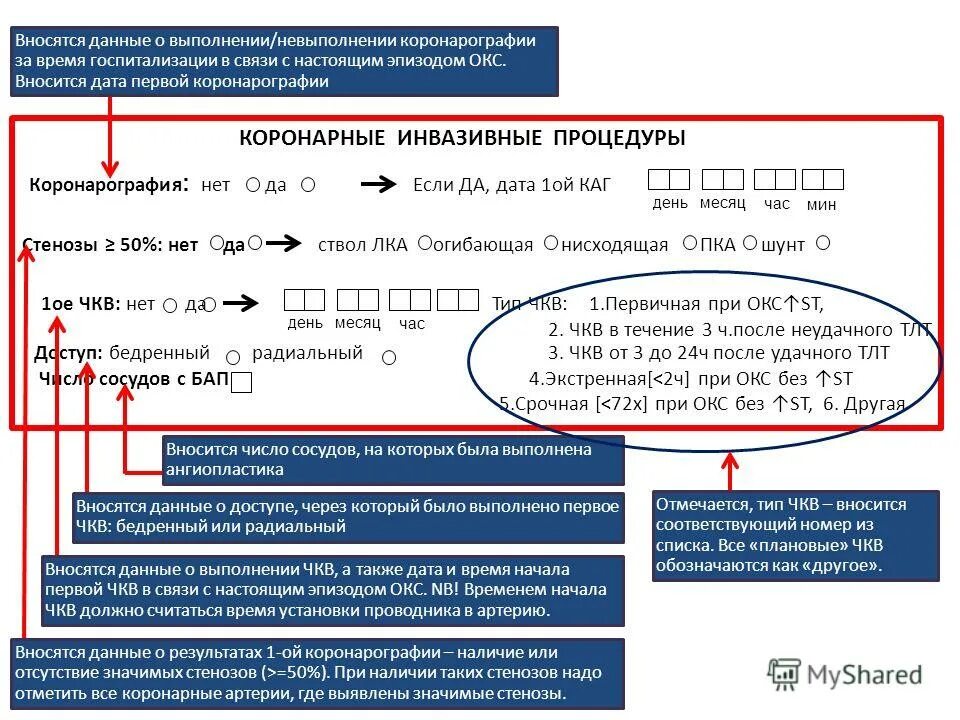 Внесла данные в программу. Внесла данные в программу