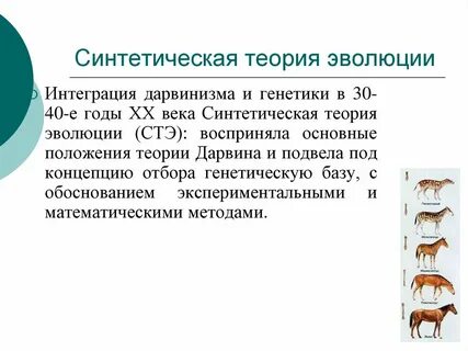 Основные задачи эволюции