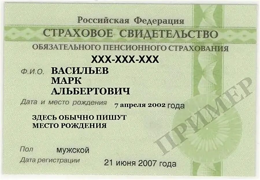 Найти снилс по свидетельству о рождении. Снилс санкт-петербург. номер снилс санкт-петербург. снилс питер. номер страхования.