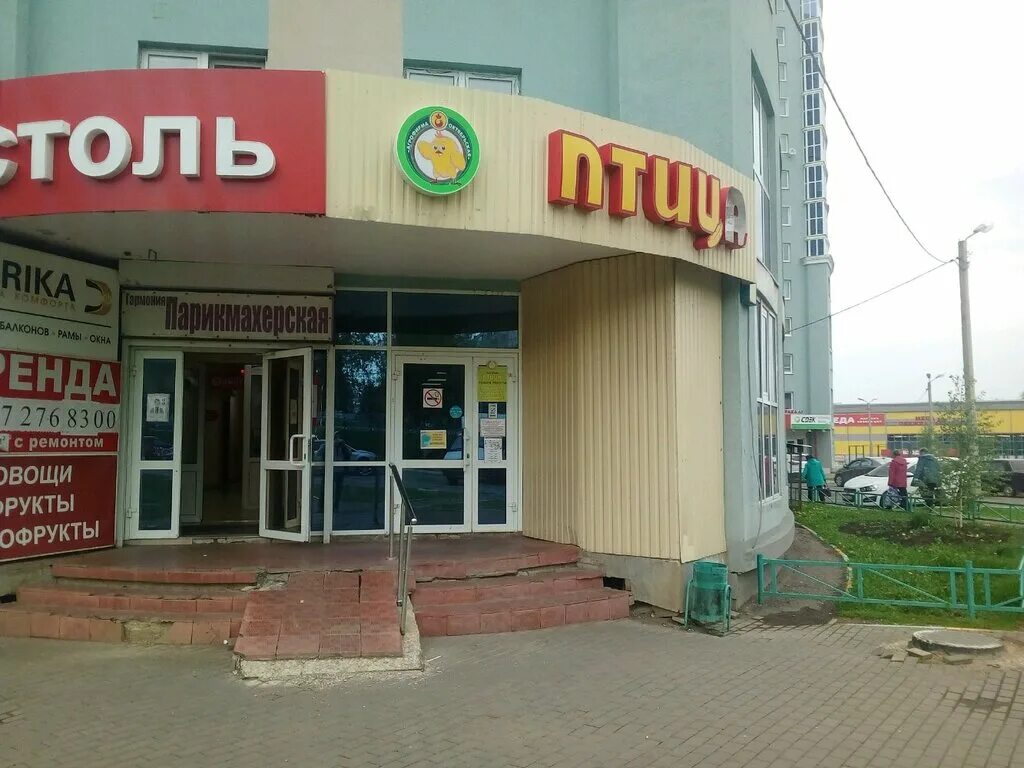 птица саранск магазины светотехстрой. саранск магазины.