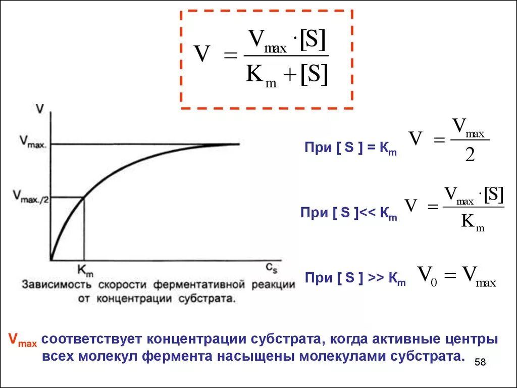 Зависимость ферментов от концентрации субстрата. График скорости ферментативной реакции от концентрации субстрата. График зависимости скорости реакции от концентрации субстрата. Зависимость скорости реакции от концентрации фермента и субстрата. График зависимости скорость реакций - концентрация субстрата.