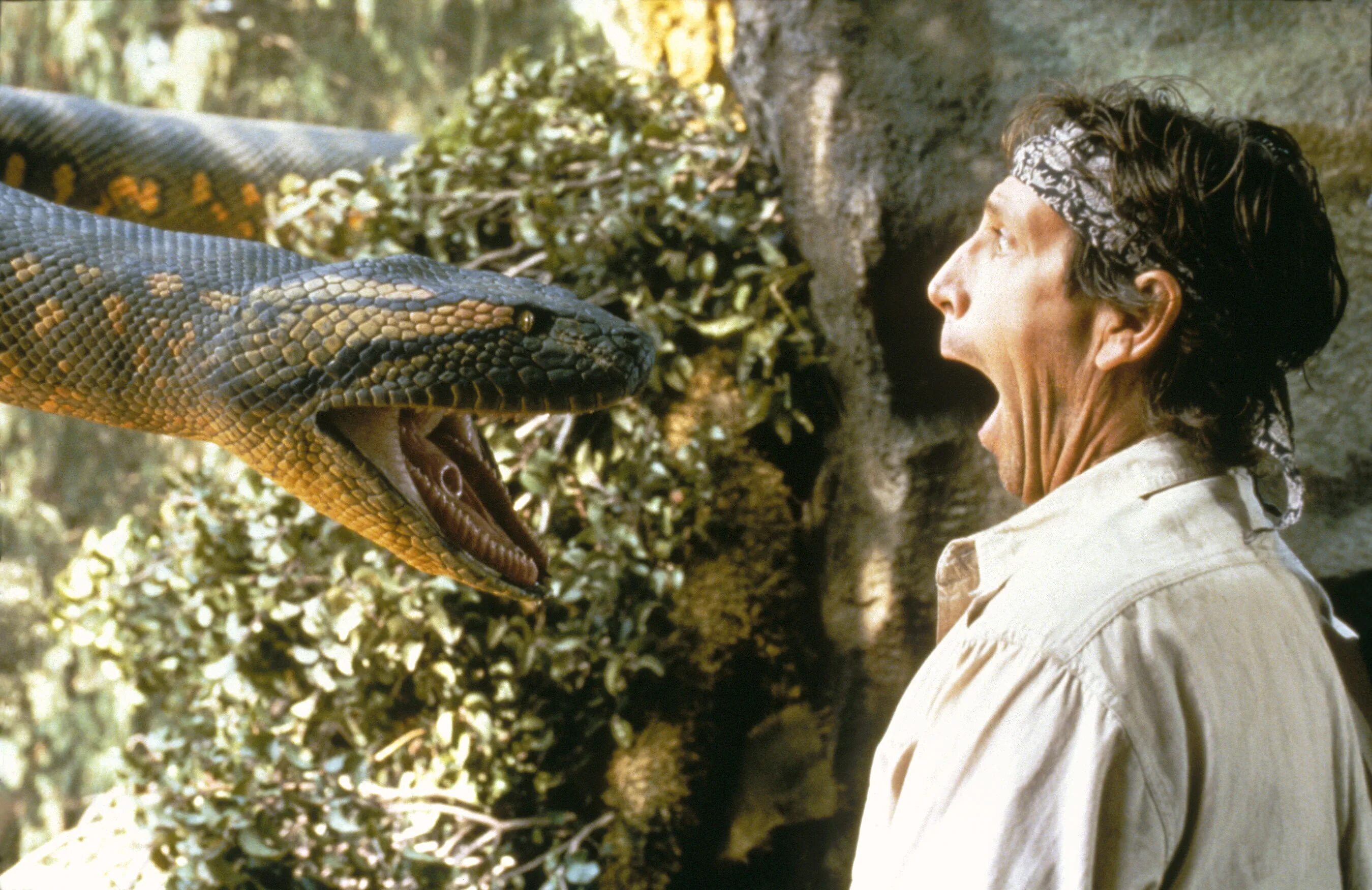 Человек боящийся змей. Джонатан Хайд Анаконда 1997.