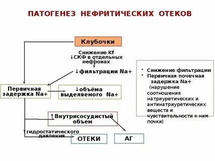 Нефритический синдром патогенез