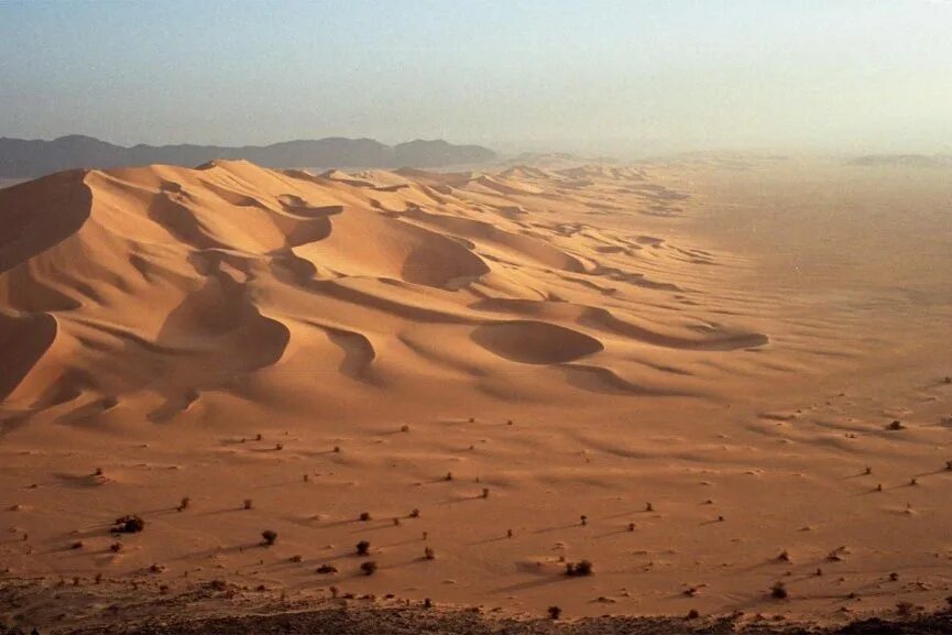 Нигер сахара. Пустыня мейсан. Опустынивание сахель. «великая зелёная стена» сахеля. Нигер сахара.