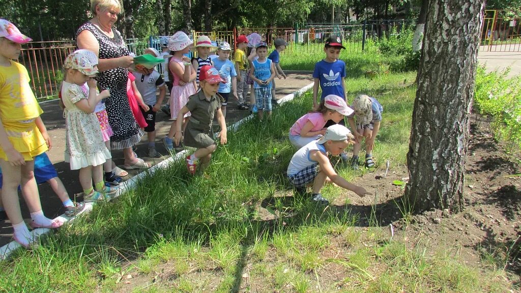 Экологическая тропа в детском саду. Экологическая тропа в ДОУ. Экологическая тропинка в детском саду. Экологическая тропа на территории детского сада. Занятие экологическая тропа средняя группа