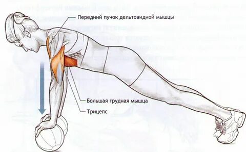 Передний пучок