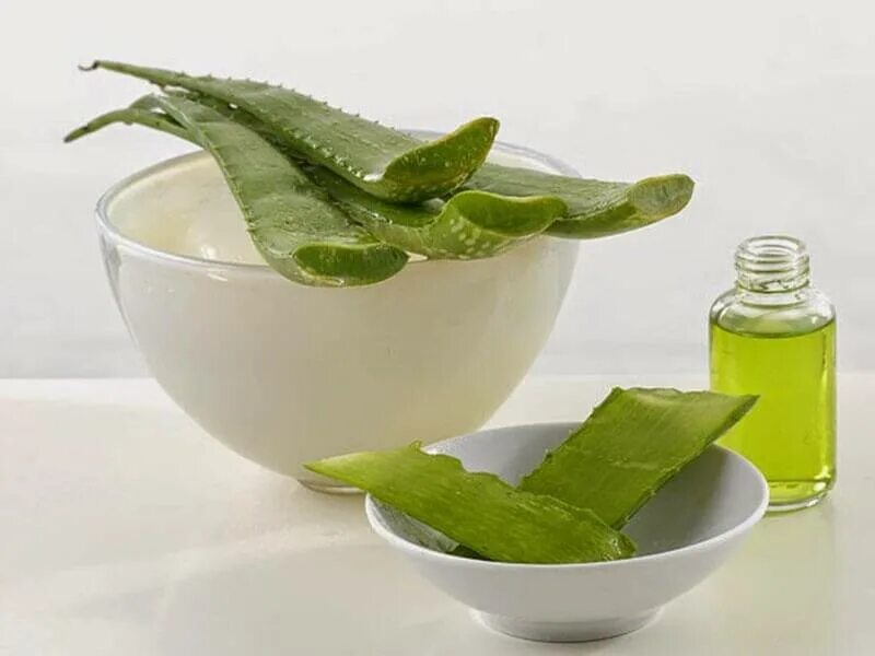 Aloe vera применение. Сок алоэ и сок каланхоэ. Сок алоэ и каланхоэ.