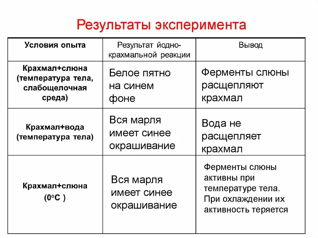 Чем отвечает на вопросы реакция