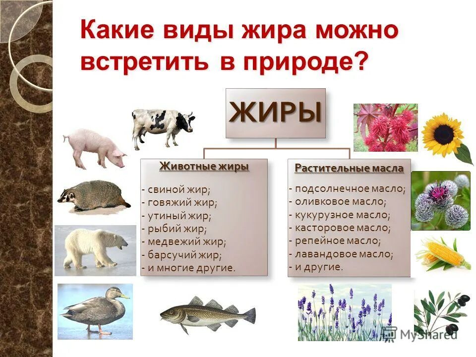 виды травматизма. 2. совершенный и несовершенный вид глагола таблица. встретить какой вид. как определить совершенный и несовершенный вид глагола.